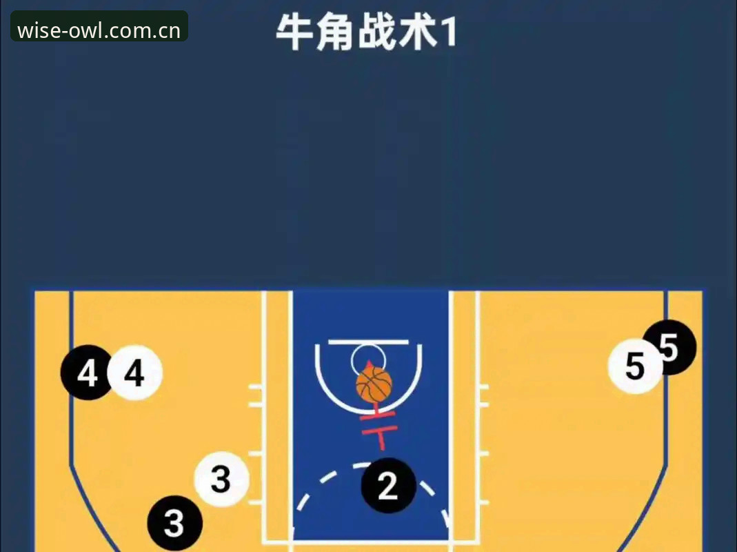猫头鹰体育APP安卓 资深用户亲历:曼联中场双星交易背后的战术博弈与猫头鹰体育观赛心得